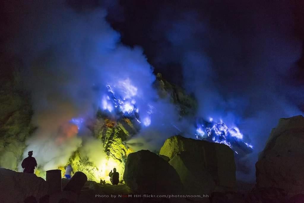בניוואנגי Dannu'S Homestay Ijen And Bromo Tour מראה חיצוני תמונה