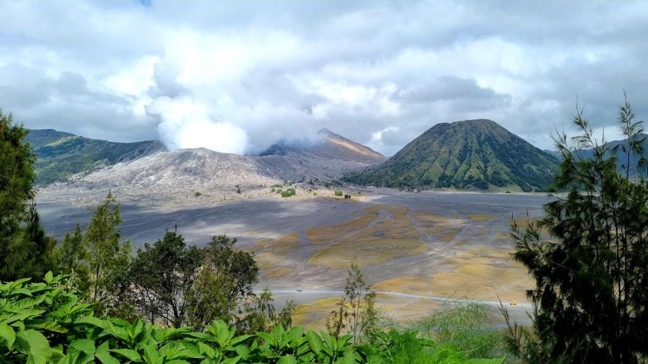 בניוואנגי Dannu'S Homestay Ijen And Bromo Tour מראה חיצוני תמונה