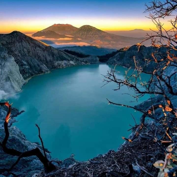 בניוואנגי Dannu'S Homestay Ijen And Bromo Tour מראה חיצוני תמונה