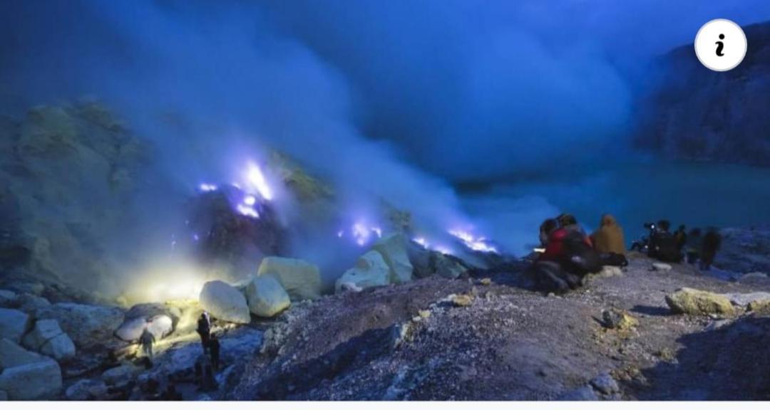 בניוואנגי Dannu'S Homestay Ijen And Bromo Tour מראה חיצוני תמונה