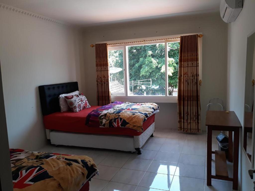 בניוואנגי Dannu'S Homestay Ijen And Bromo Tour מראה חיצוני תמונה